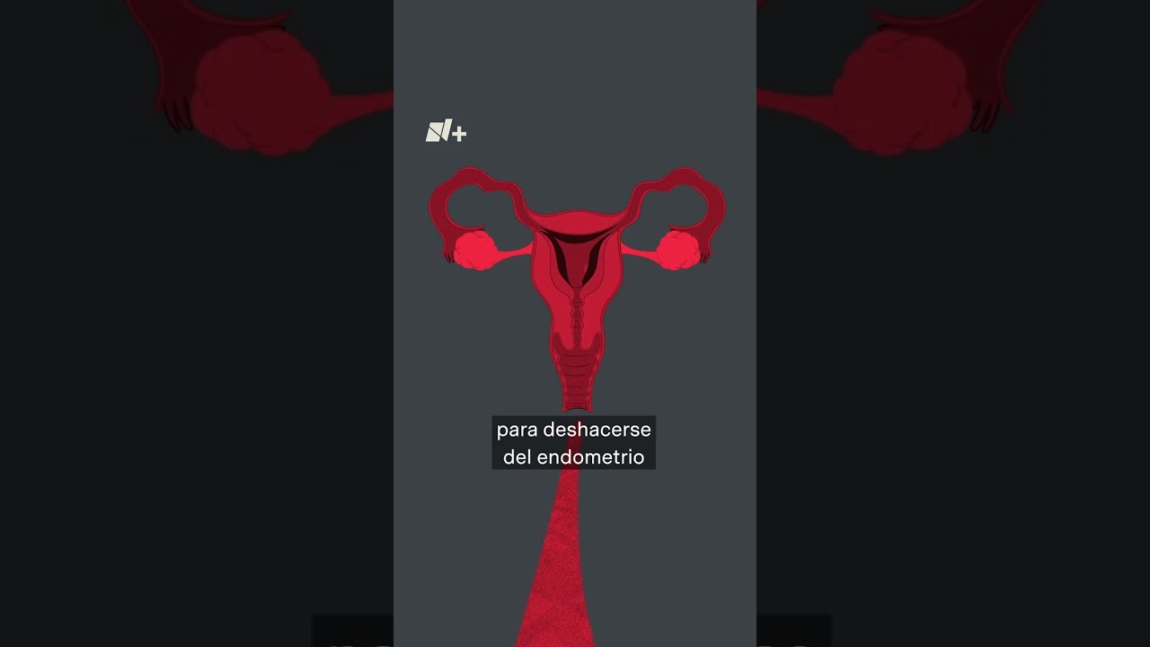 cólicos y dolor de espalda baja sin menstruación