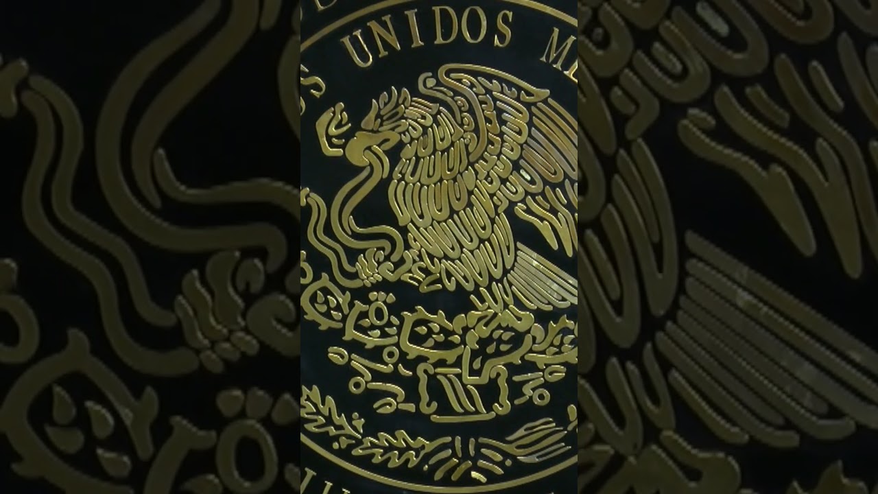 cual es la funcion del poder judicial