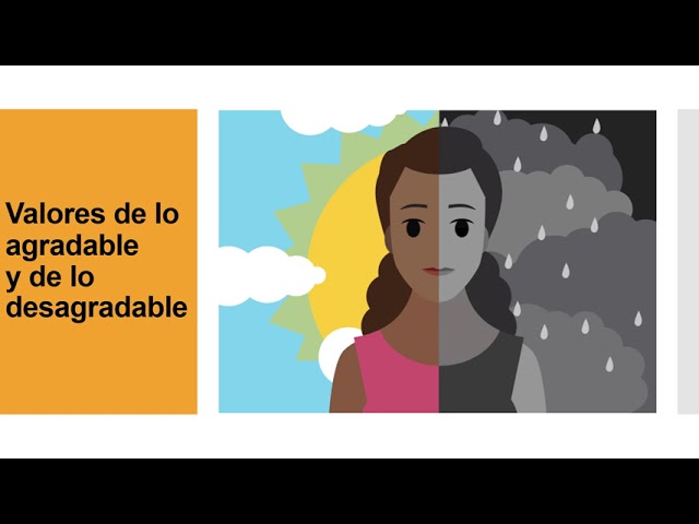 jerarquia de valores segun max scheler