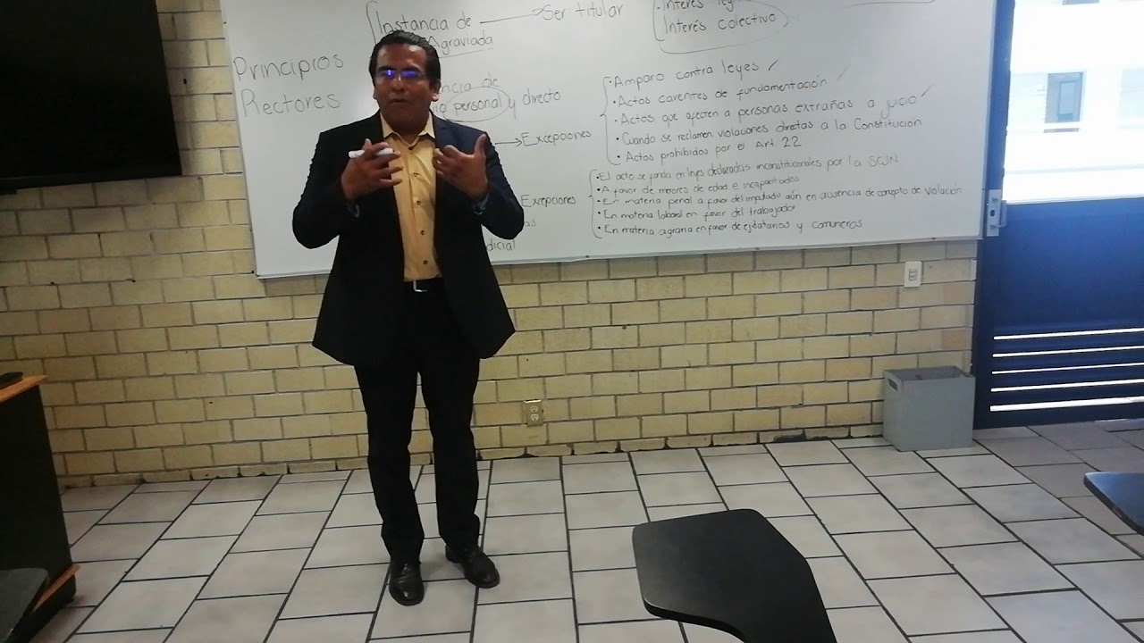 principios rectores del juicio de amparo