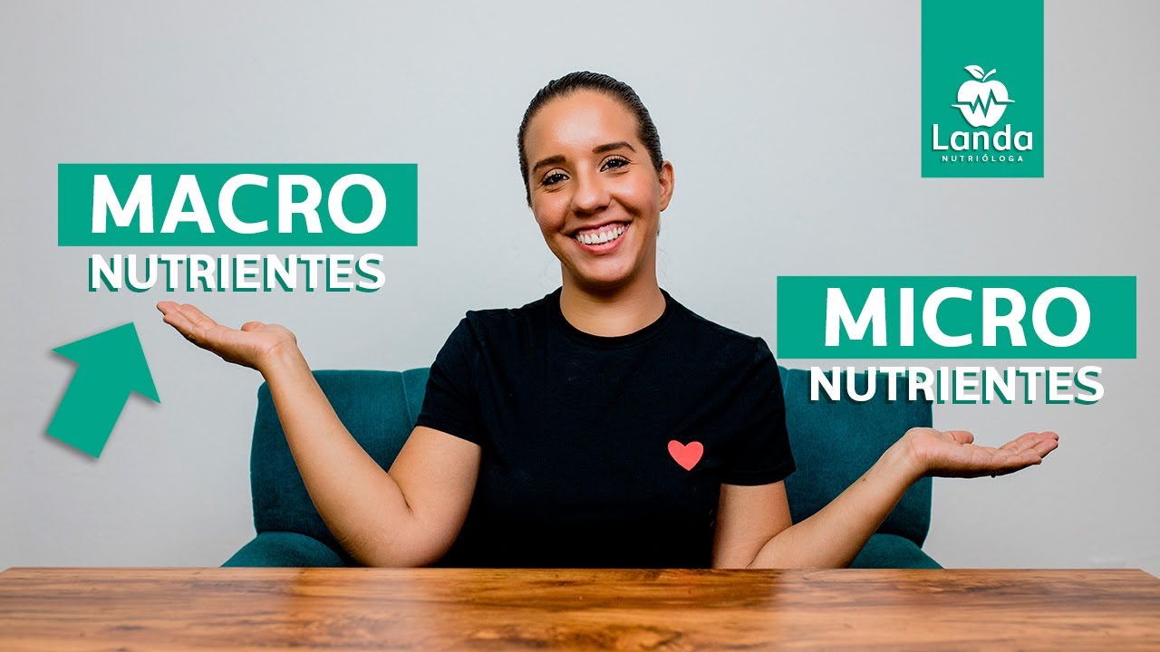 q son los nutrimentos y como se clasifican