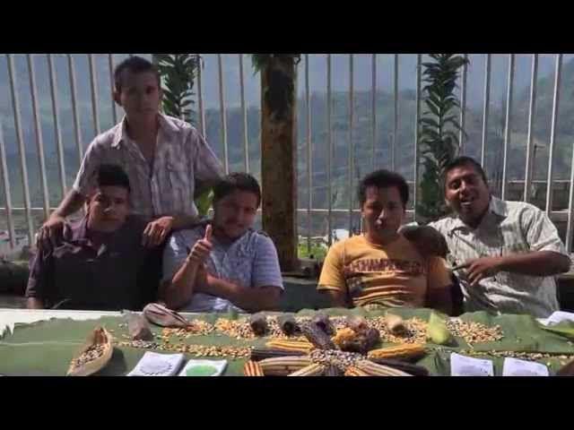 universidad intercultural del estado de puebla