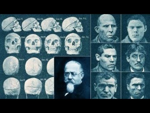 caracteristicas de la escuela positivista