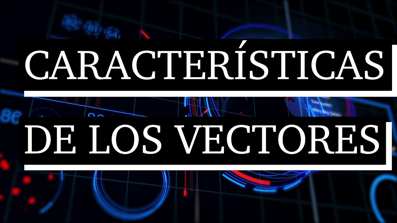 cuáles son las características de un vector