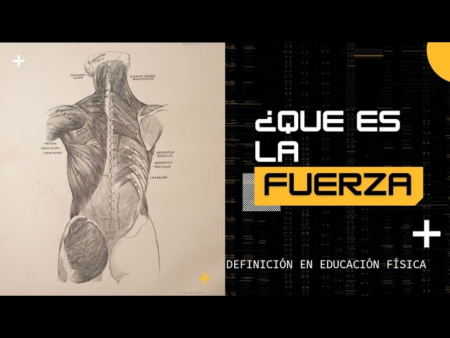 definicion de fuerza en educacion fisica