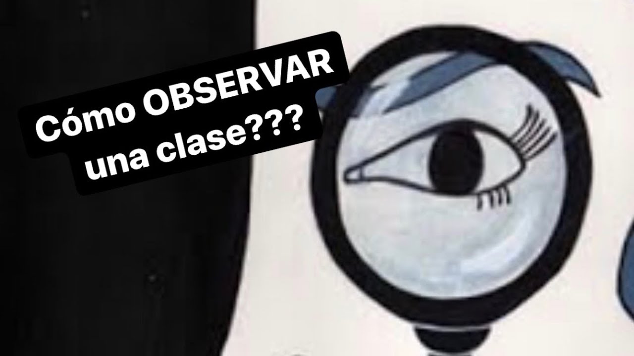 formato de observacion de clase