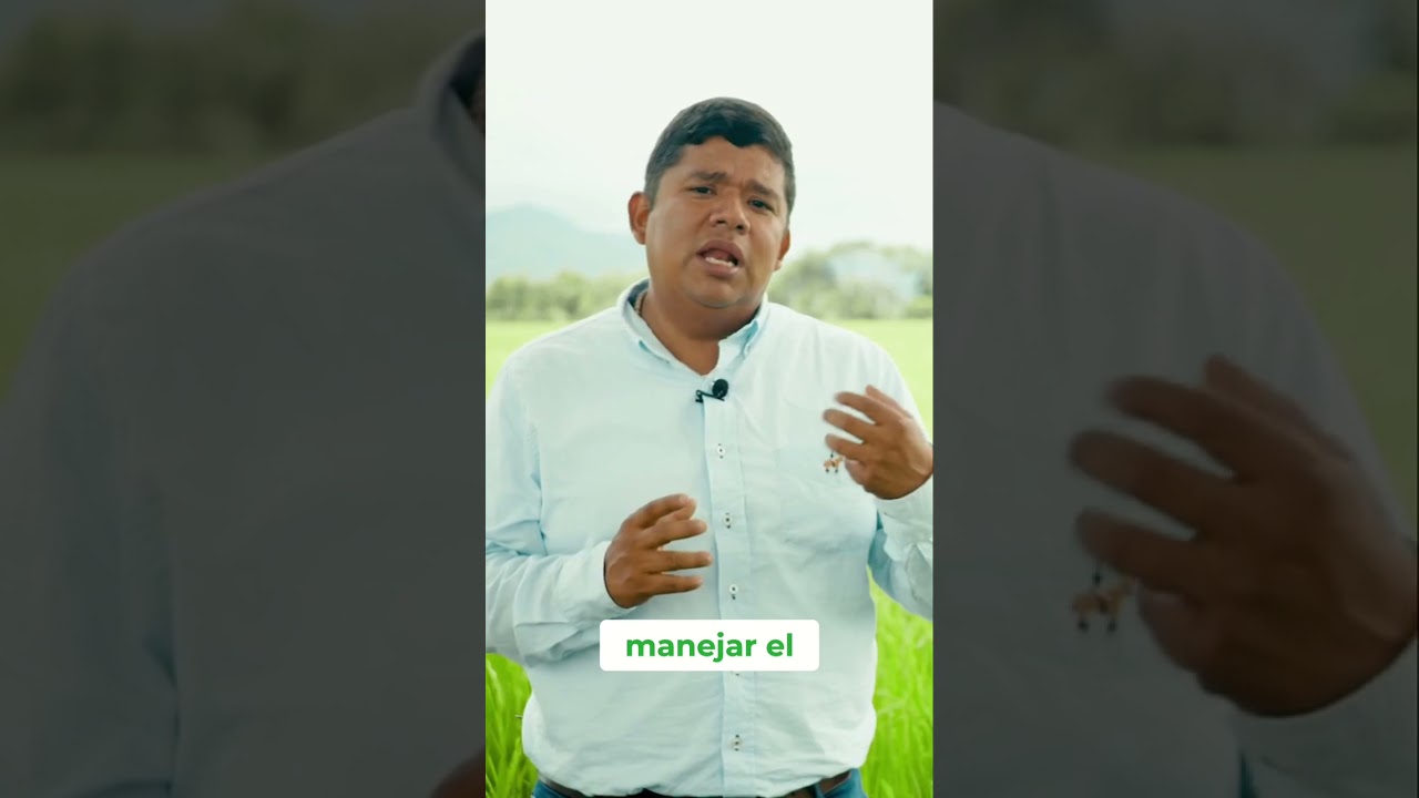 instrumento de cultivo que incrementa la productividad