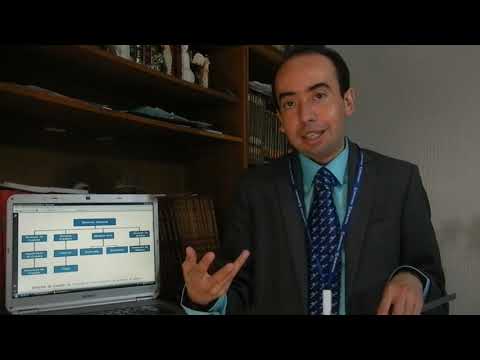 organigrama de una agencia de publicidad