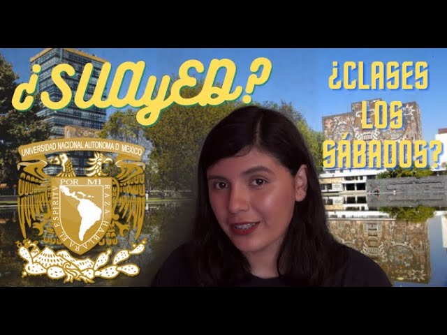 qué es el sistema escolarizado