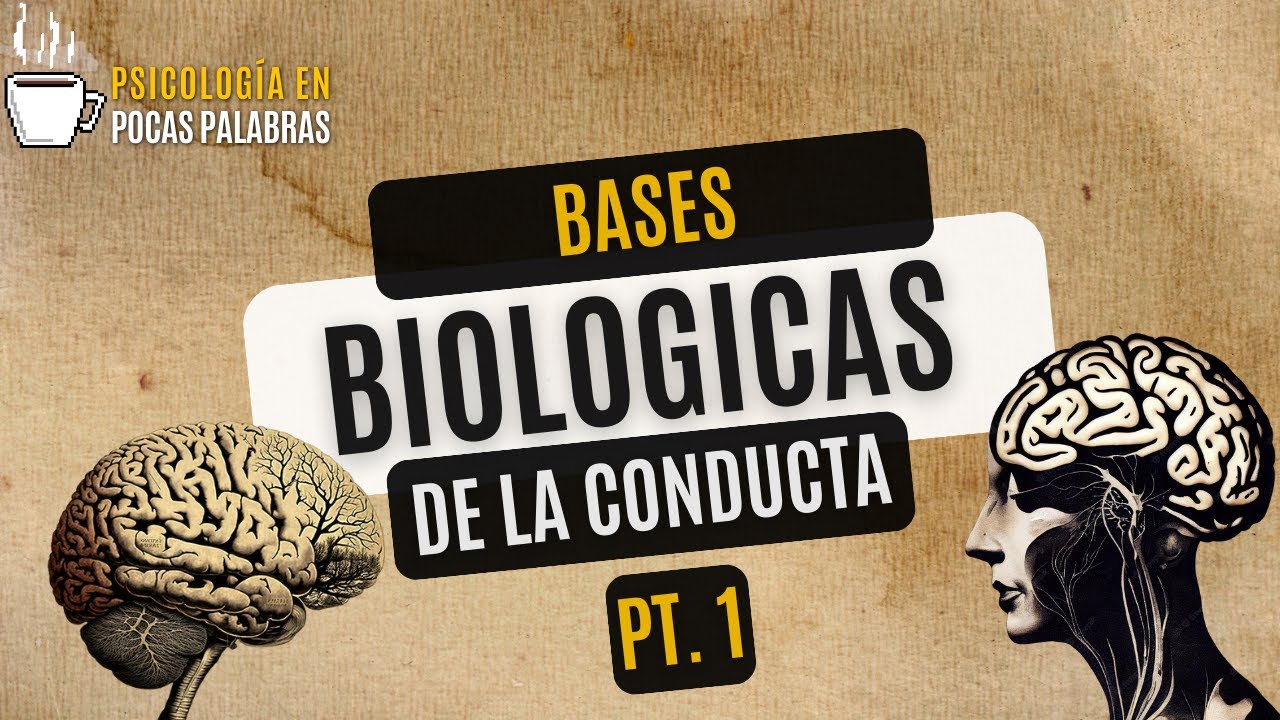 base social de la conducta