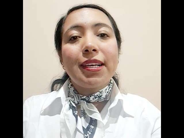 colegio creatividad y enseñanza decroly