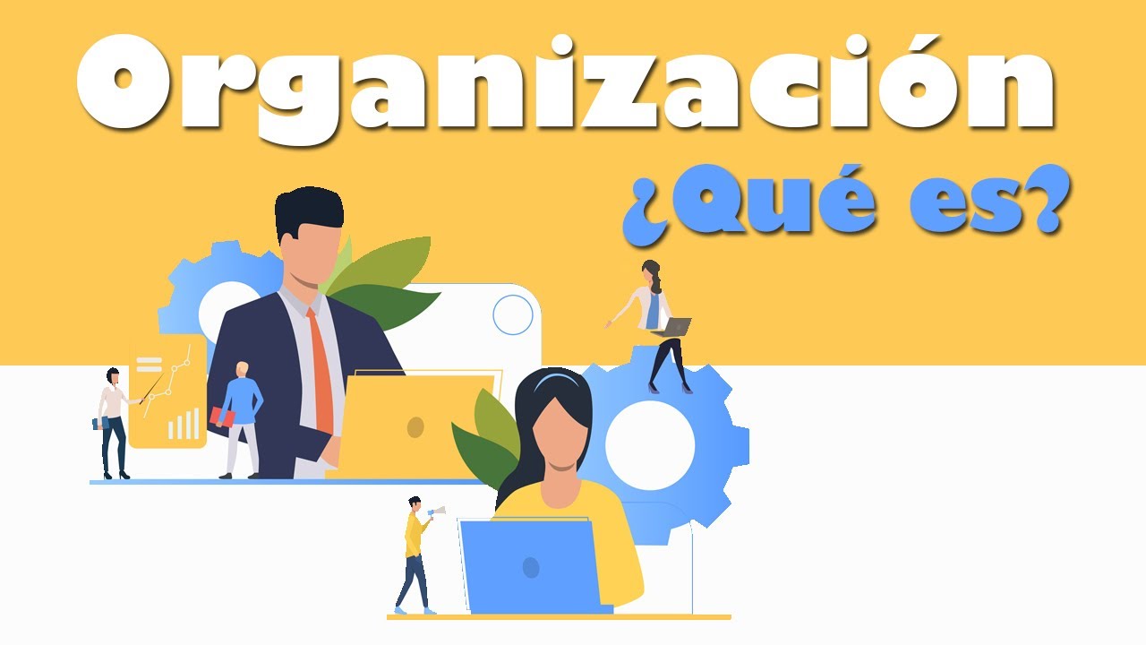 cual es la importancia de la organizacion