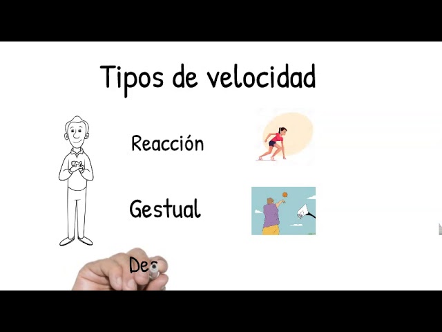 cuáles son los tipos de velocidad en educación fisica