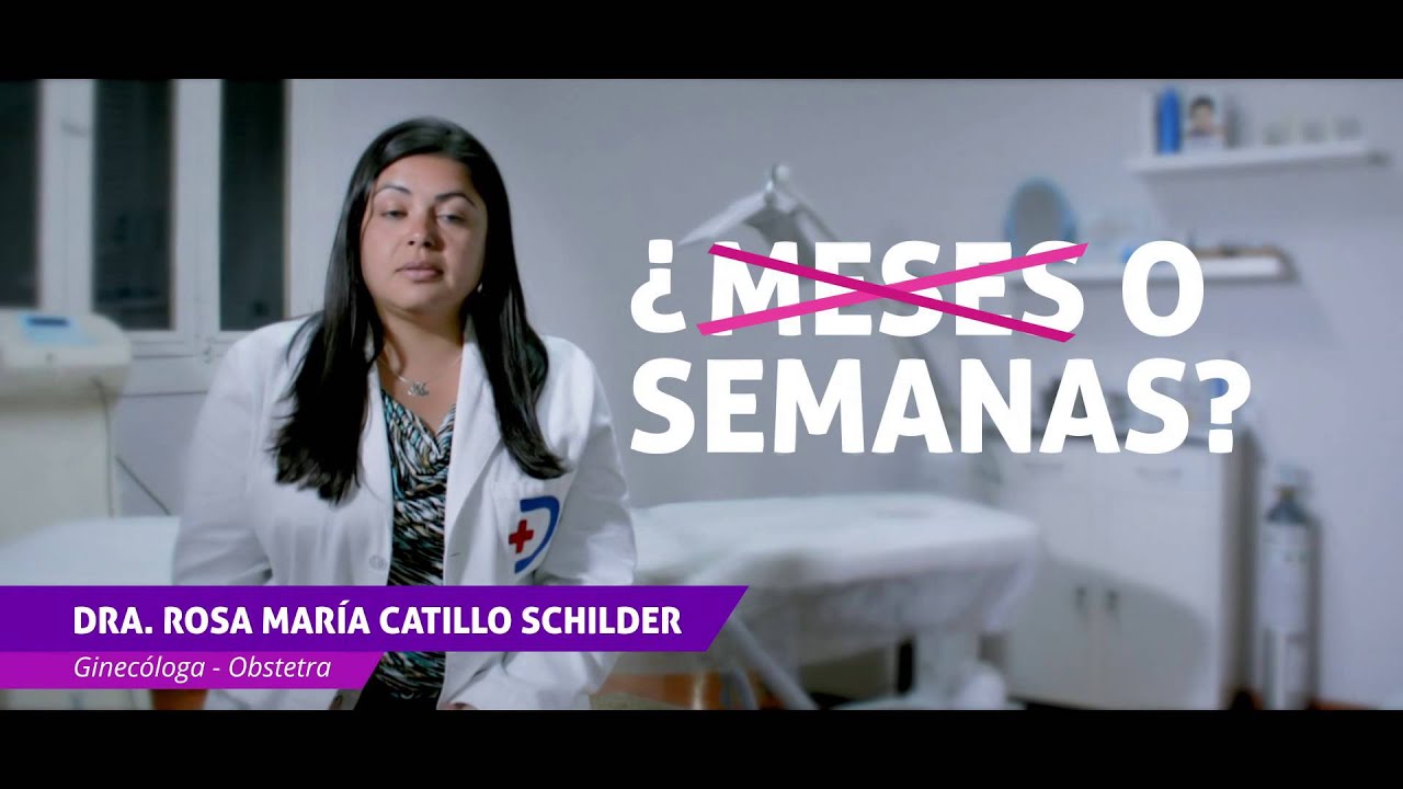 cuanto tiempo es un trimestre