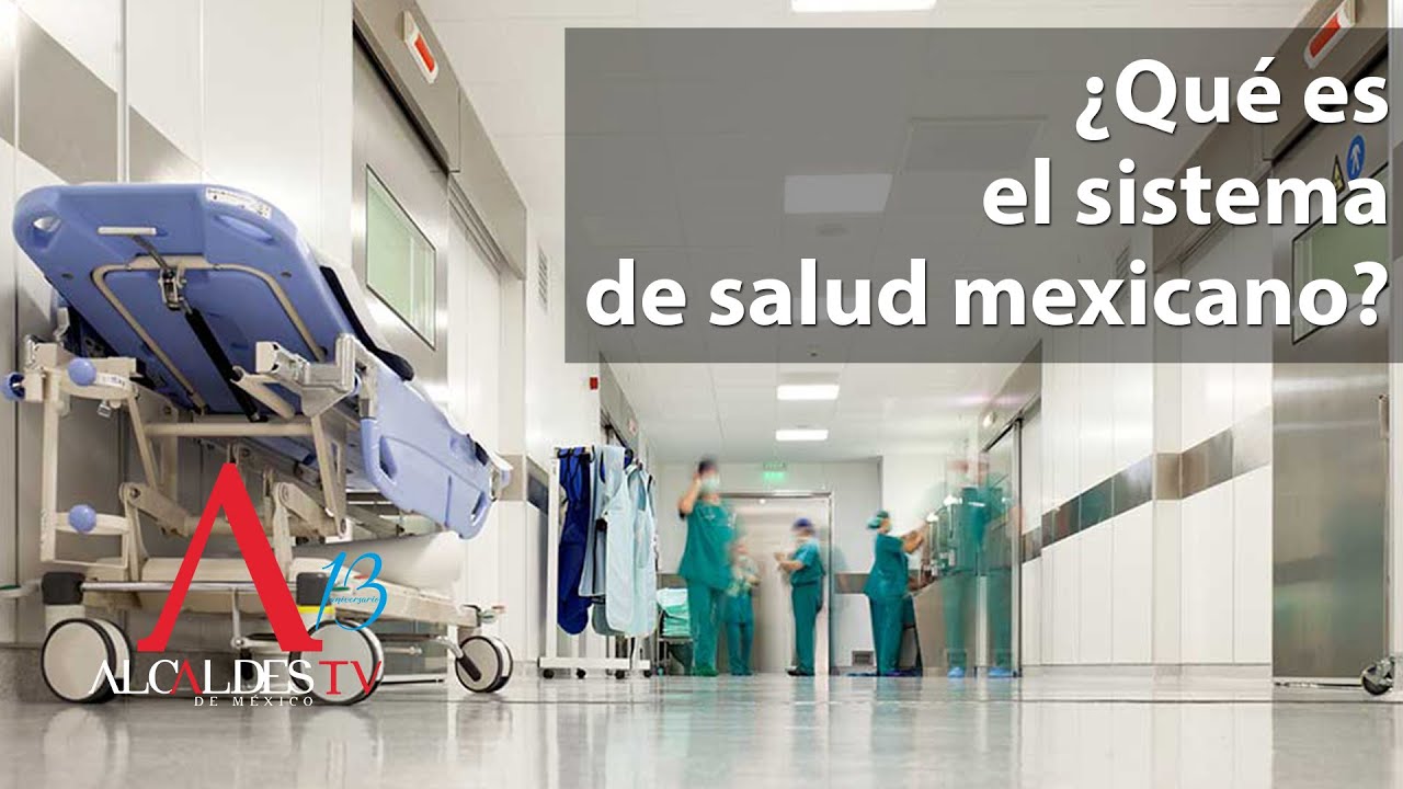 estructura del sistema de salud en méxico
