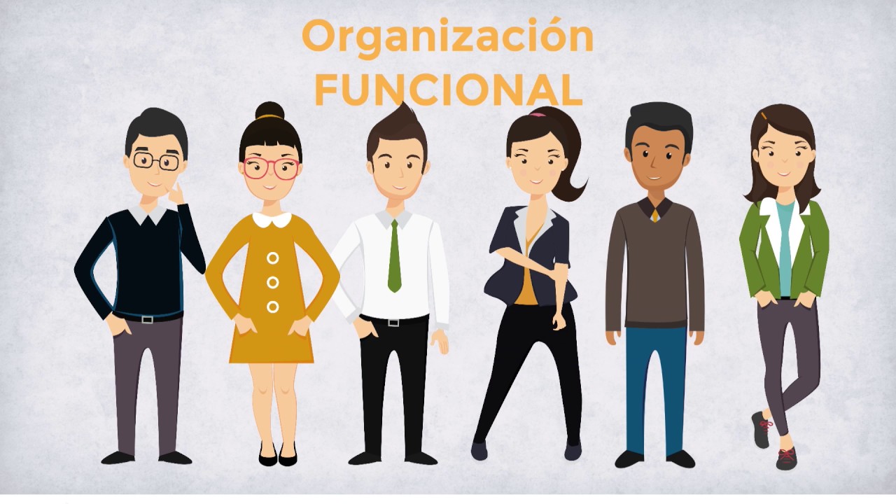 estructura organizacional de una escuela