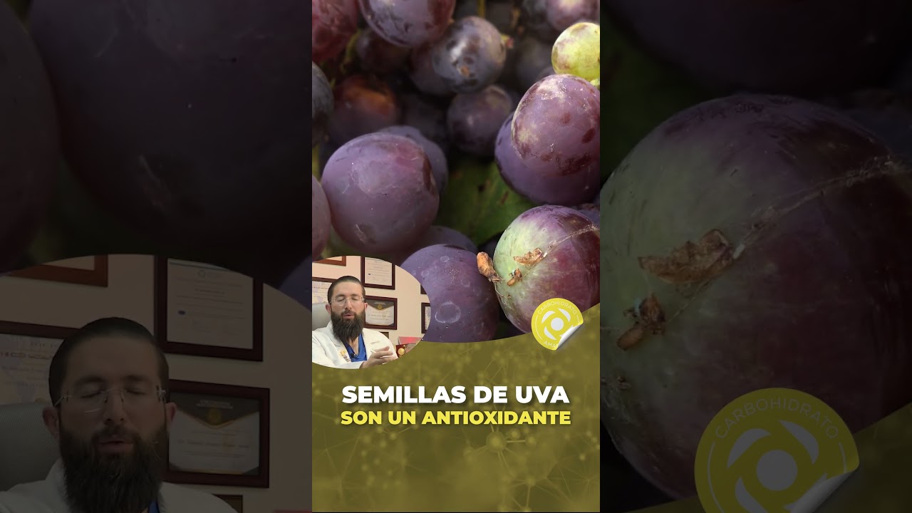 la uva es fruta o verdura