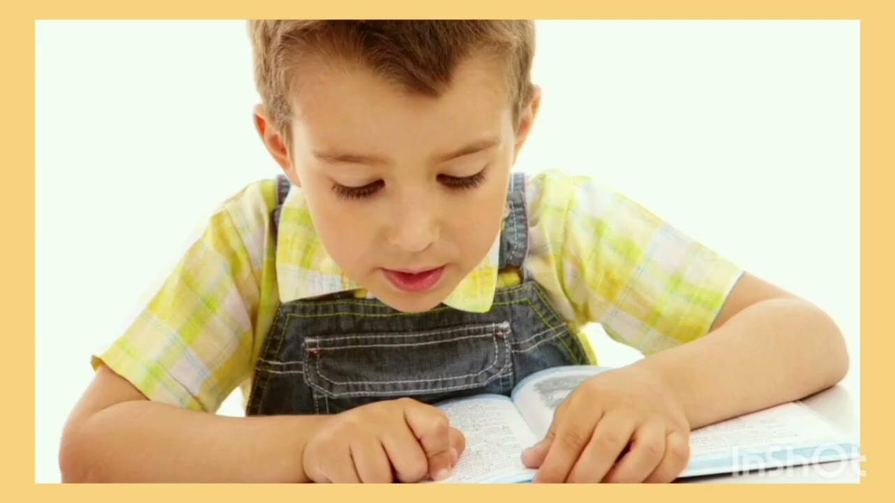 niveles de conceptualización de la lengua escrita