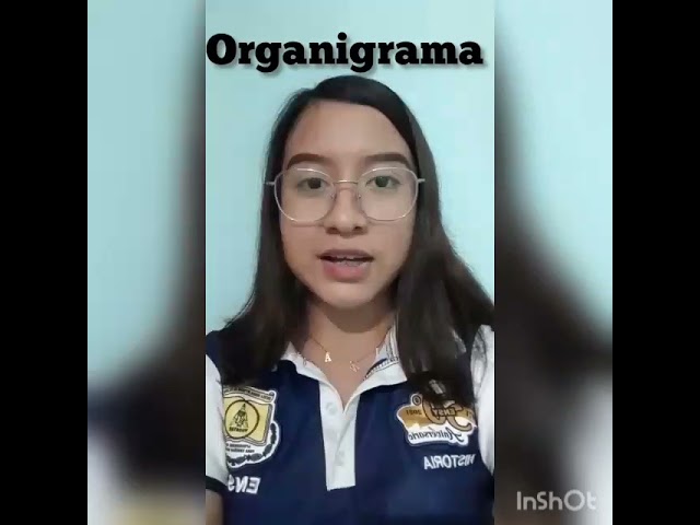 organigrama de una escuela secundaria y sus funciones