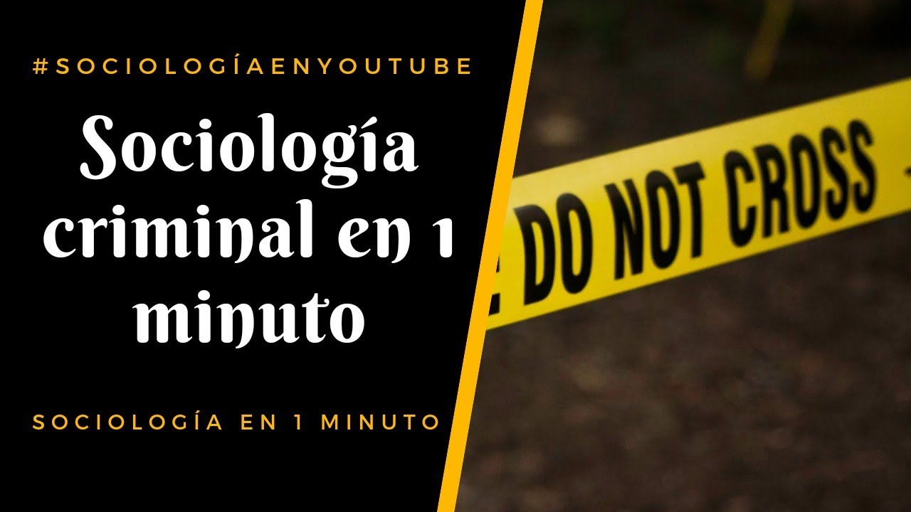 qué es la sociología criminal