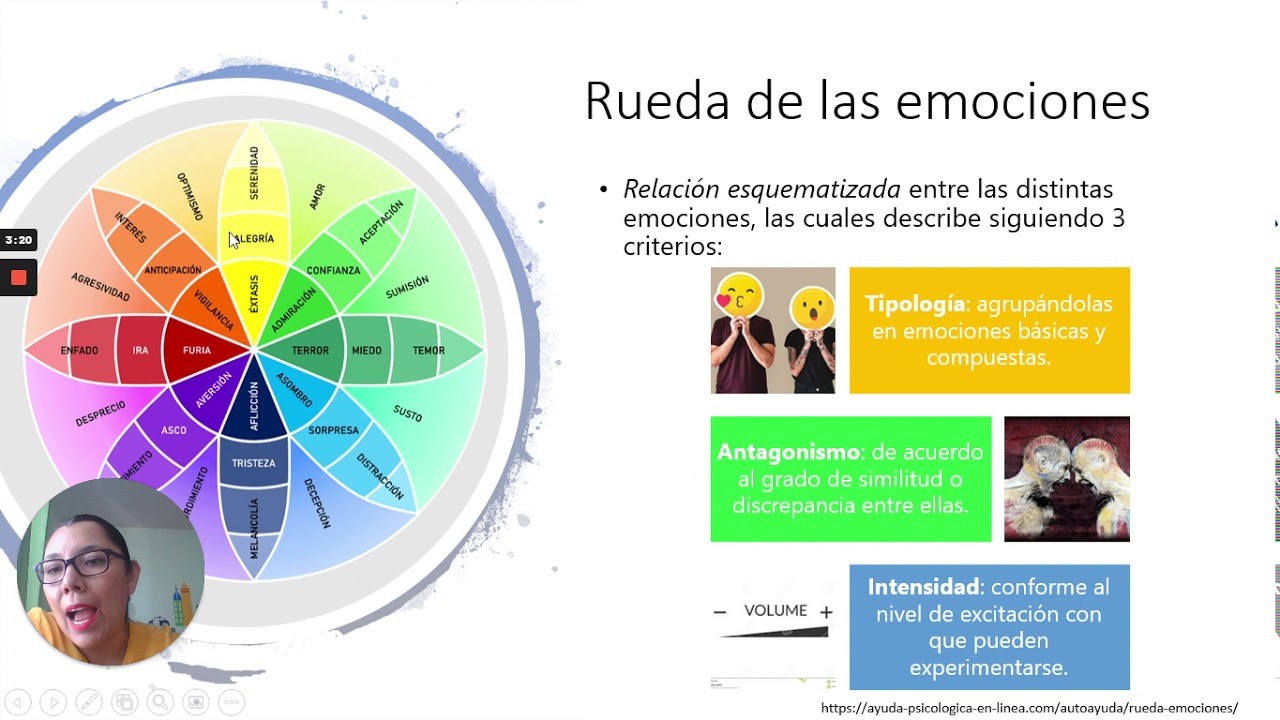 rueda de las emociones de plutchik